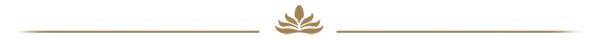 Ayurvedic decorative divider with lotus icon symbolizing holistic healing